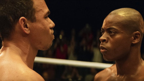 Anderson Spider Silva: 1×2