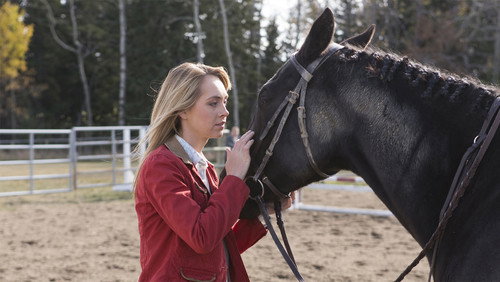 Heartland: 6×13