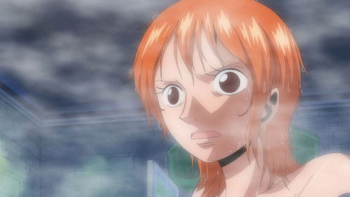 One Piece Dublado – Episódio 341