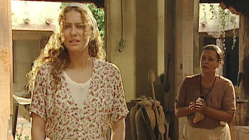 O Rei do Gado: 1×41