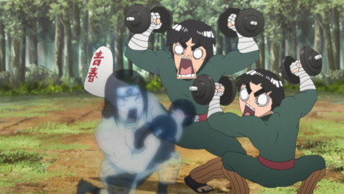 Naruto Shippuden: 20×495