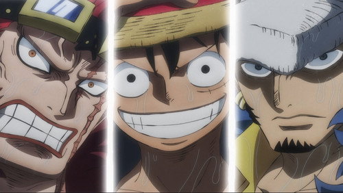 One Piece – Episódio 977