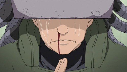 Naruto Shippuden: 15×330