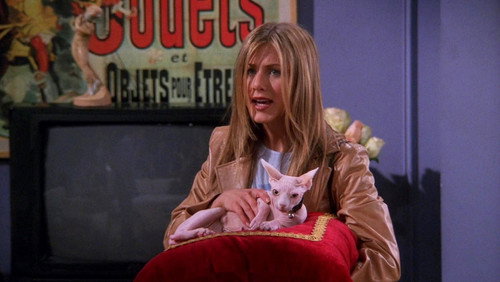 Friends: 5×21