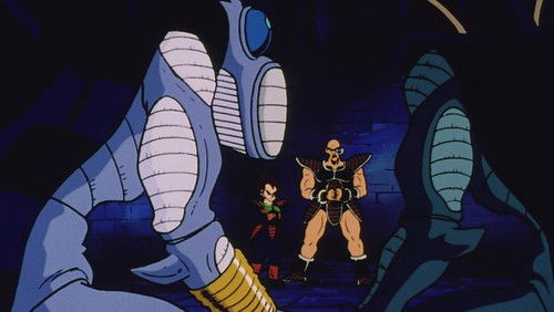 Dragon Ball Z (Selecta Vision) – Episódio 11