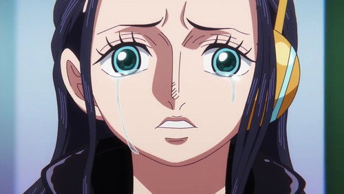 One Piece: 22×1096