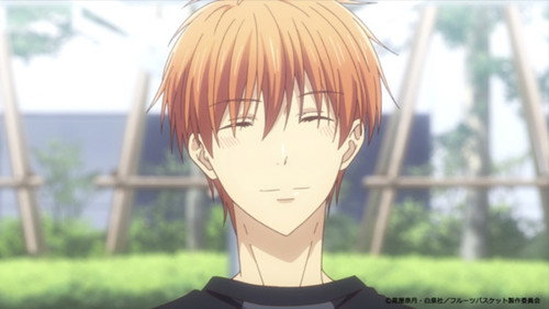 Fruits Basket: 3×11