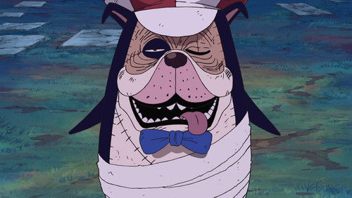 One Piece Dublado – Episódio 347