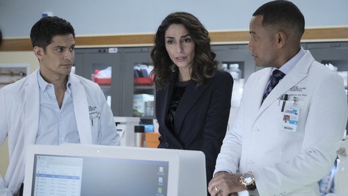 The Good Doctor: O Bom Doutor: 1×12