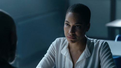 Histórico Criminal: 1×5