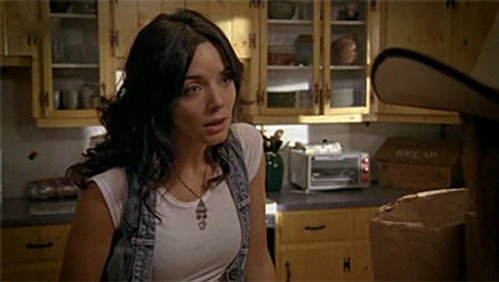 Heartland: 1×4