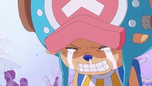 One Piece Dublado – Episódio 537