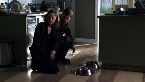 CSI: Investigação Criminal: 6×9
