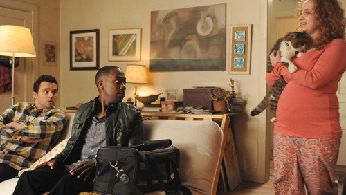 New Girl: 3×9