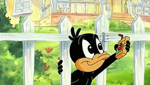 Baby Looney Tunes: 1×49