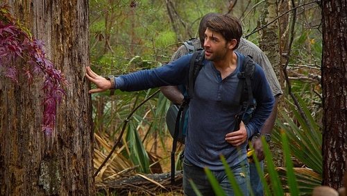 Zoo: 1×3