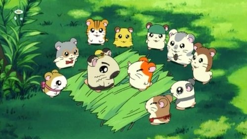 Hamtaro: 1×3
