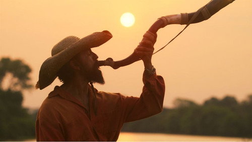 Pantanal: 1×1