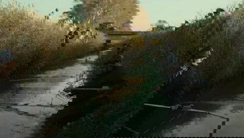 O Monstro de Florença: 1×3