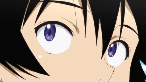 Nisekoi: 2×5