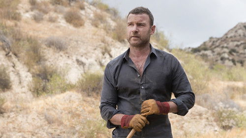 Ray Donovan: 3×8