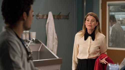 ver greys anatomy 15 x 25 subtitulado ver greys anatomy 15 x 25 subtitulado