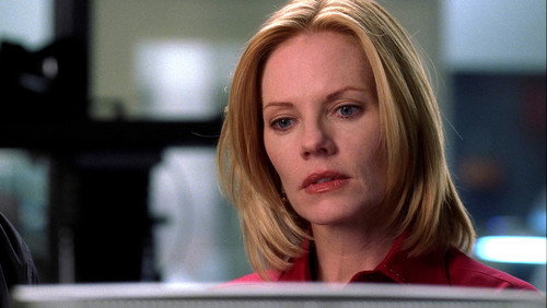 CSI: Investigação Criminal: 2×20