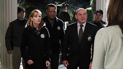 CSI: Investigação Criminal: 11×20