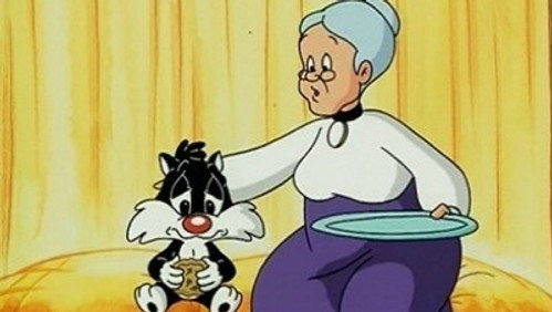 Baby Looney Tunes: 1×47