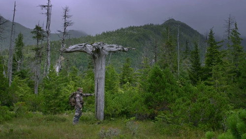 The Alaska Triangle: 2×3