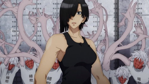 Cells at Work!: 2×7