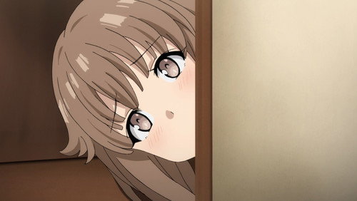 Rascal Does Not Dream of Bunny Girl Senpai(Seishun Buta Yarou wa Bunny Girl): 1×10