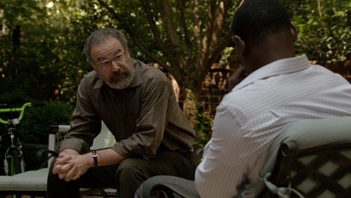 Homeland – Segurança Nacional: 2×4