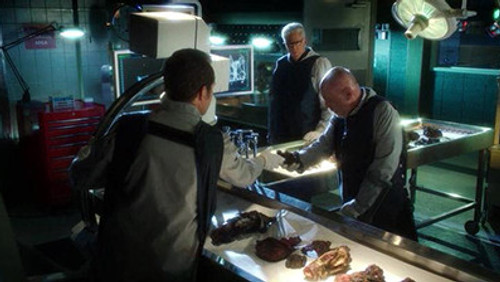 CSI: Investigação Criminal: 13×10