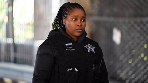 Chicago P.D.: Distrito 21: 12×14