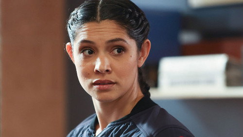 Chicago Fire: Heróis Contra o Fogo: 9×13