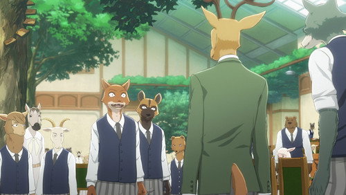 BEASTARS – O Lobo Bom: 1×2