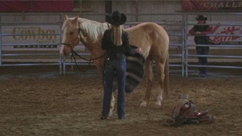 Heartland: 3×17