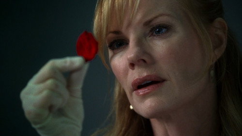 CSI: Investigação Criminal: 7×3