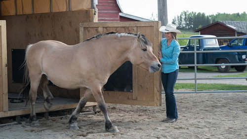 Heartland: 11×4