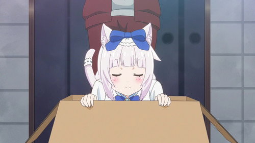 Nekopara: 1×10