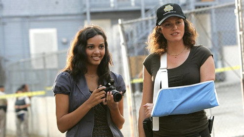CSI: Investigação Criminal: 8×3
