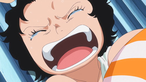 One Piece: 15×614