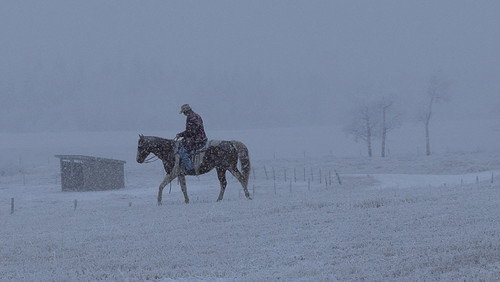 Heartland: 6×18