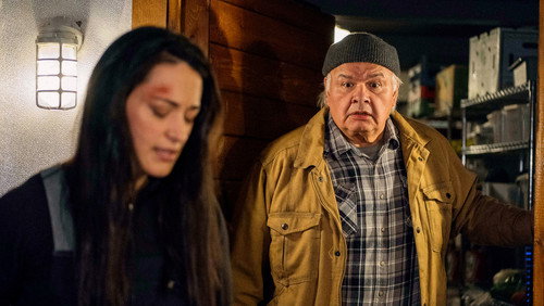 Resident Alien: 1×8
