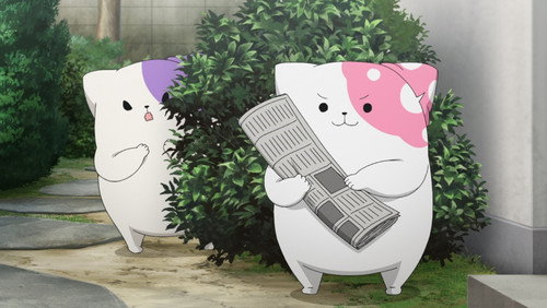 Kinokoinu Mushroom Pup: 1×10