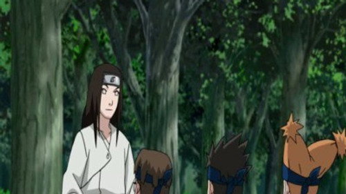 Naruto Shippuden: 9×192