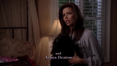 Desperate Housewives: 4×9