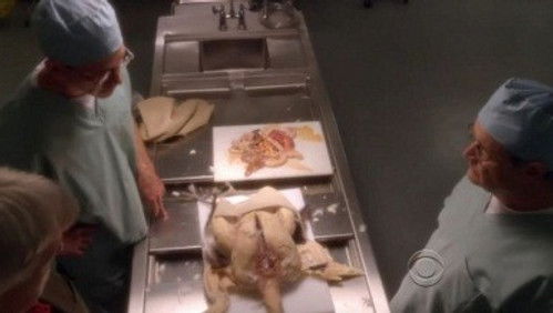 NCIS: Investigação Naval: 8×10