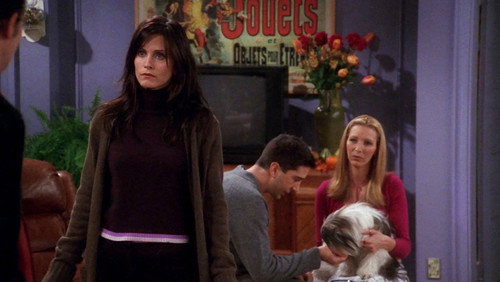 Friends: 7×8